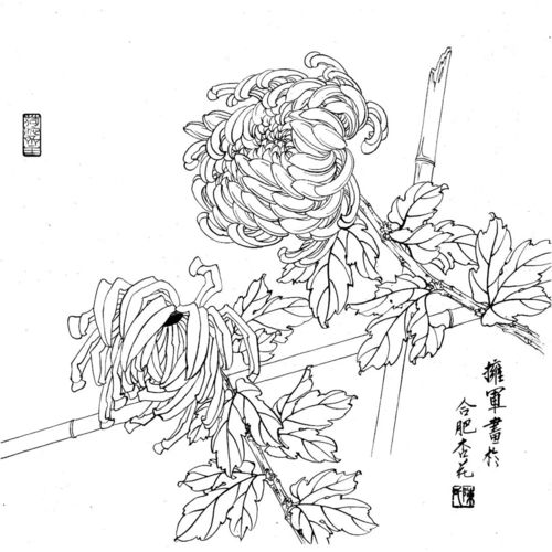 《白描》软件如何识别并提取图片中的文字？ 1