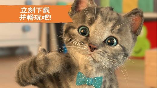 猫咪弹木琴中文版 截图4