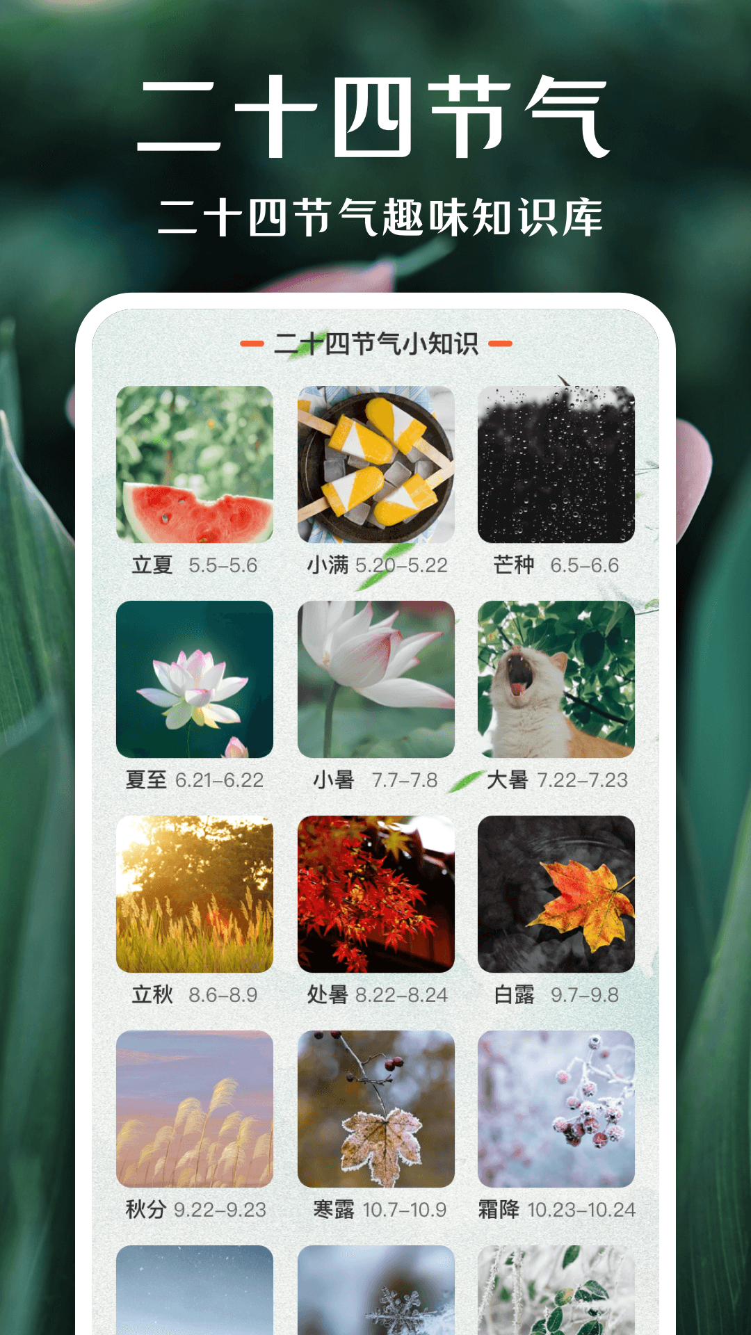 一键拍照识花 截图2