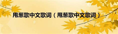 誰有《甩蔥歌》歌詞及中文翻譯？ 2