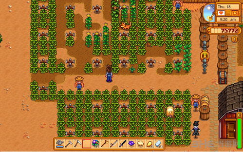 《星露谷物语》秘密纸条箭头走线怎么玩？ 1