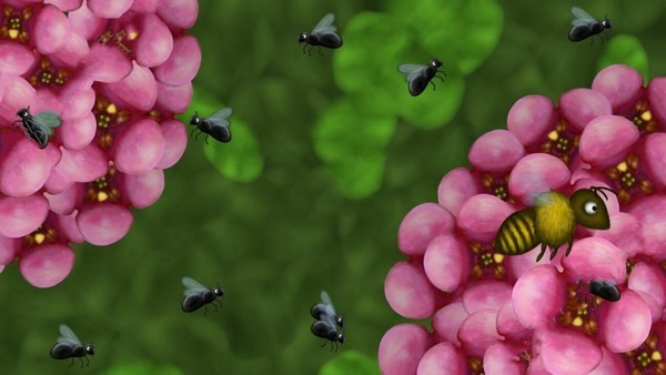小蜜蜂成长记 1