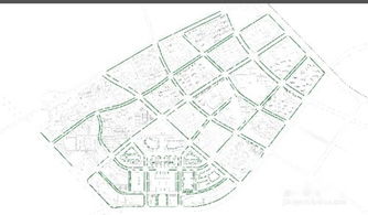 揭秘:如何选择最适合的树木种类 4