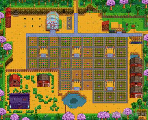 揭秘星露谷物语：神秘占卜背后的深层意义 2