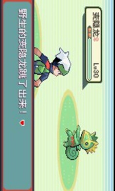 口袋妖怪绿宝石随机版 截图2