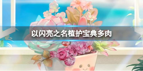 《以闪亮之名》植护宝典多肉活动有哪些? 1