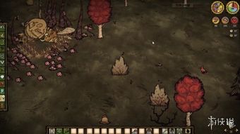 饥荒:如何高效击败蜂后?专业击杀技巧大揭秘! 1