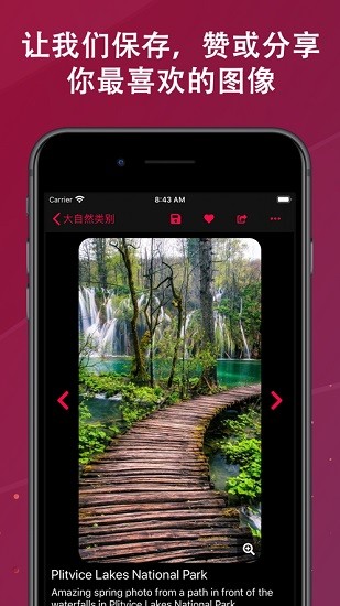 backiee壁纸手机版app 截图4