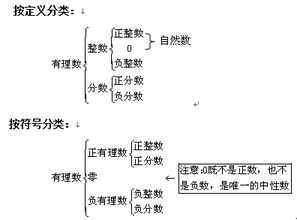 有理数的定义及实例：哪些数属于有理数？ 1