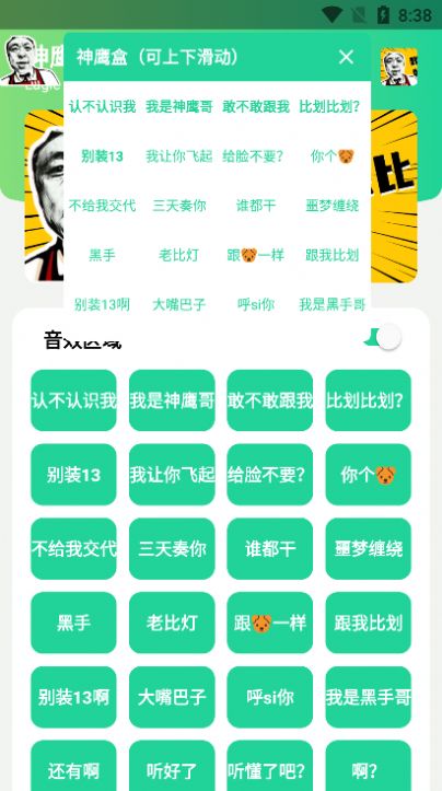 神鷹哥語(yǔ)音包app 1