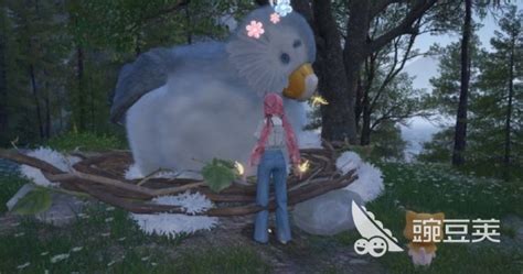 《无限暖暖》浮絮巨鸥任务全攻略，轻松玩转无限世界！ 3