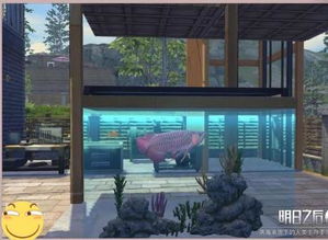 如何制作《明日之后》中的观赏鱼缸?快速获取观赏鱼缸的方法揭秘 1