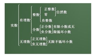 有理数的定义及实例：哪些数属于有理数？ 4