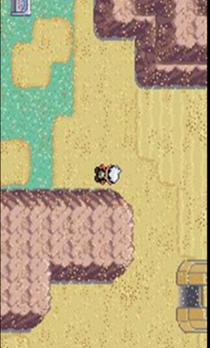 口袋妖怪绿宝石随机版 截图3