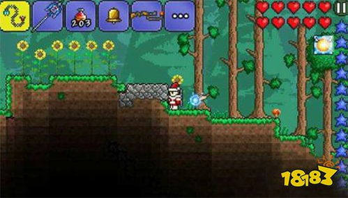 泰拉瑞亚中最强的饰品有哪些? 4