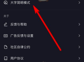 抖音大字简明模式怎么设置-抖音大字简明模式设置方法介绍 4