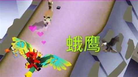 如何在疯狂动物园让老鹰飞行100米 2