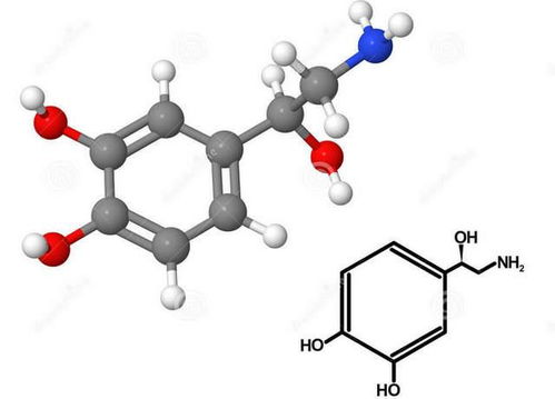 《人体工厂大冒险:肾上腺素飙升的通关秘籍》 1