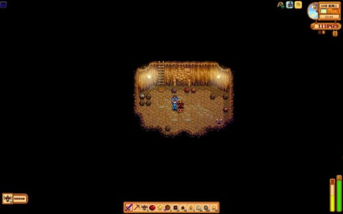 星露谷物语中祝福雕像是什么? 4