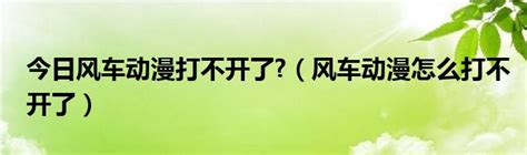 《风车动漫》无法访问?这里有高效解决方案! 4