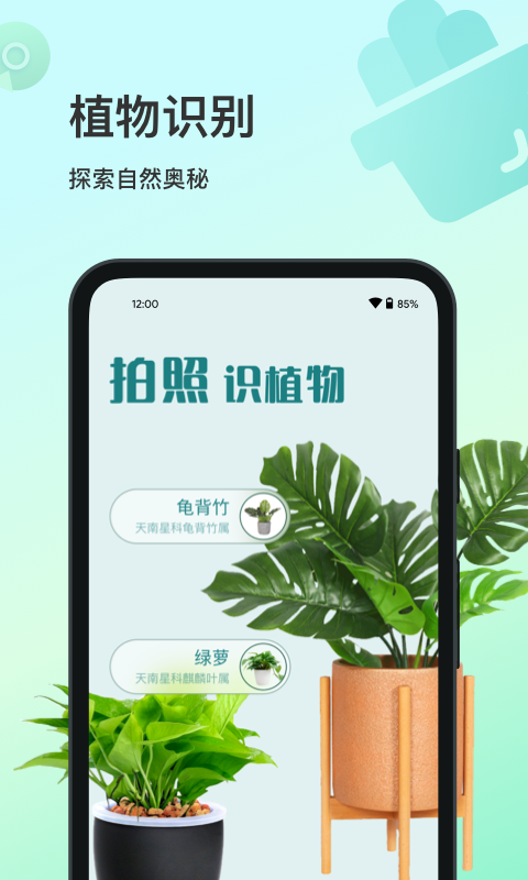 花卉识别手机版 截图4