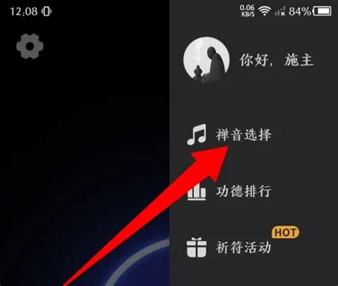 《小鲜木鱼》如何修改声音? 5