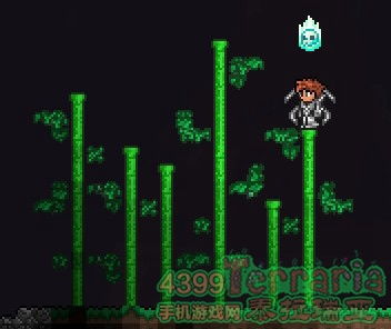 泰拉瑞亚中假人靶子的用途及制作方法是什么? 1