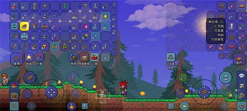 泰拉瑞亚初期应该做些什么? 3