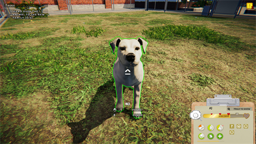 《动物收容所》模拟经营游戏上线Steam 明年一季度即将发售 8