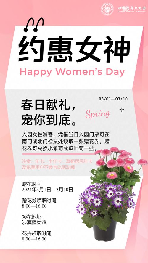 《北京环球度假区:轻松解锁礼品券购买秘籍》 2