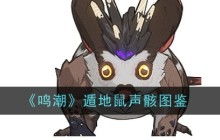 《鸣潮》梦魇揭秘:燎照之骑·声骸图鉴震撼登场 2