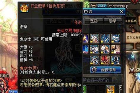 《DNF》白金徽章应该放在哪个部位? 1