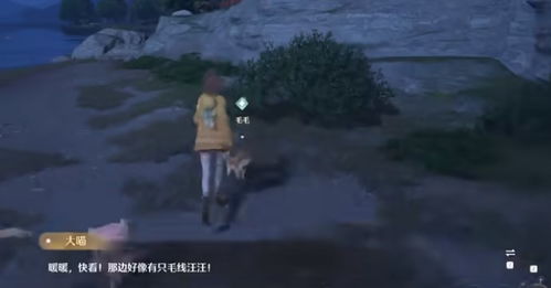 《无限暖暖》汪汪毛线失踪事件:全面任务攻略大揭秘 2