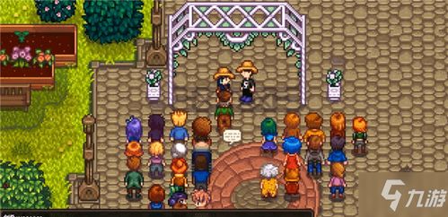 星露谷物语:全面攻略,教你如何与心仪NPC步入婚姻殿堂! 1