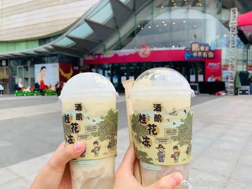 《〈江南百景图〉:解锁酒酿桂花冻的获取秘籍》 1