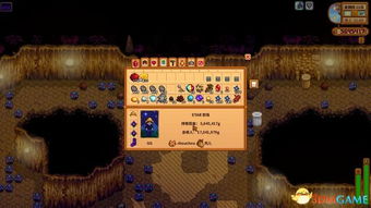 星露谷物语：征服沙漠矿洞的绝妙攻略 3