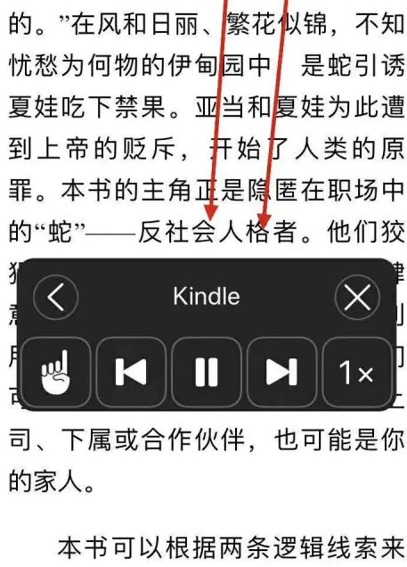 《如何在Kindle上设置听书功能？》 5