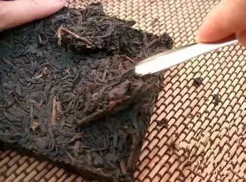 轻松学会撬开砖茶的方法 1