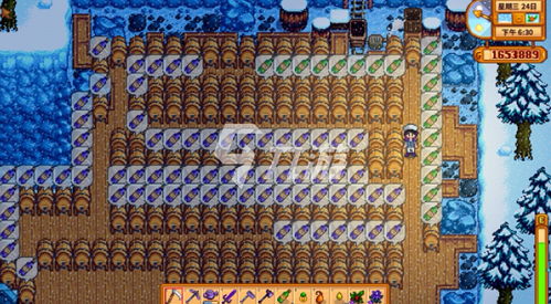 《《星露谷物语》玩家必看：耕种精通后你能获得哪些惊人奖励？》 2