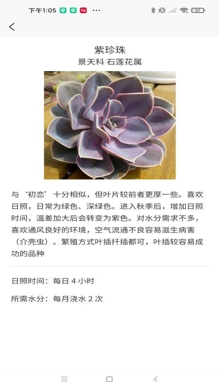 嘟嘟多肉植物鑒 截圖3