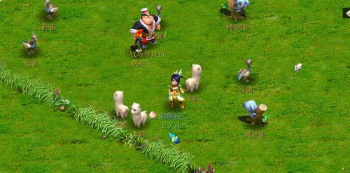 《梦幻西游》中羊驼的养殖指南 3