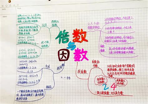 揭秘：因数和倍数的微妙差异，你分清了吗？ 4