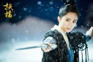 《扶摇一梦:段成泽角色图鉴》 2