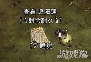 饥荒游戏中提升SAN值的有效方法 3