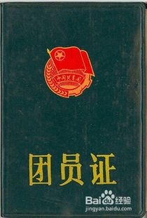 轻松查询：如何快速了解自己的入团时间 1