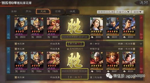 深度解析:三国志战略版五谋臣羁绊效果与使用攻略 2