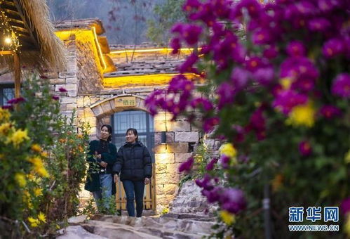 《梗传之王》山村奇遇:全面解锁旅行通关秘籍 3