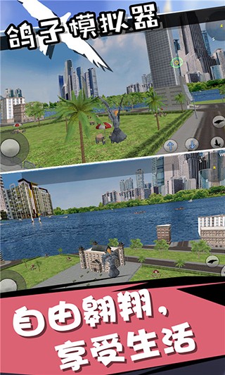 鸽子模拟器免费版 截图4