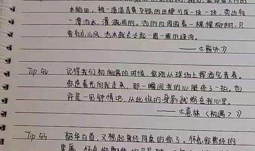 高效鲸落体字帖练字教程 1