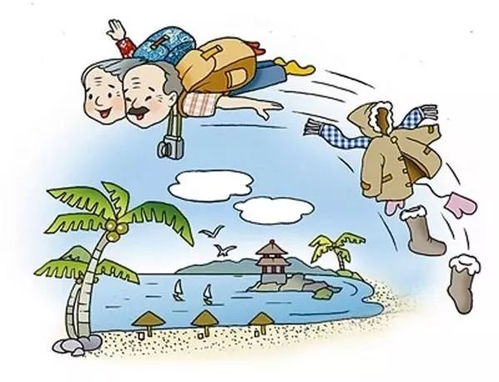 《眼神犀利助温暖:《就我眼神好》留守过冬挑战,暖心攻略助力老人儿童安然过冬》 2